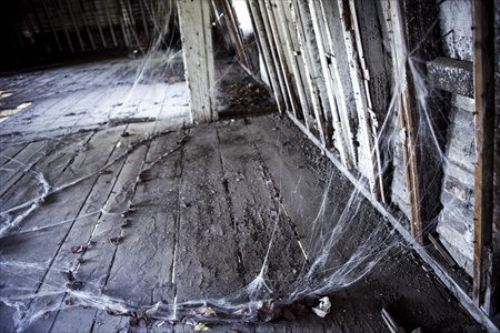 No.81 Haunted House