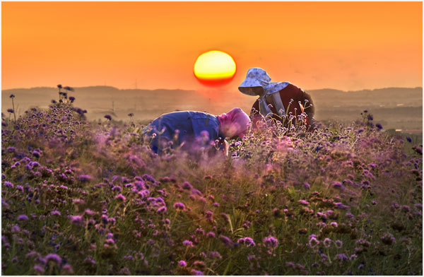 [Photo provided to China Daily]