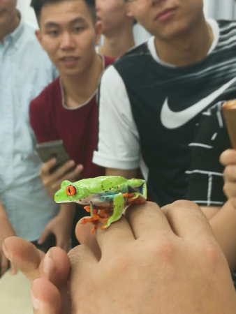 A red-eyed tree frog is used as a teaching aid at Zhang Meng's class at the Dalian Maritime University. (Photo/China Daily��