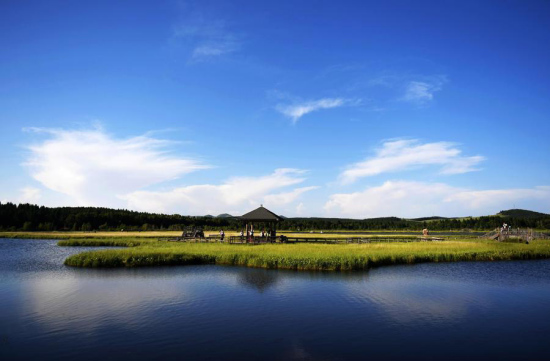 Photo taken on July 11, 2017 shows Saihanba National Forest Park, China's largest man-made woodland, in Weichang Manchu and Mongolian autonomous county in Chengde, Hebei province.(Photo/Xinhua)
