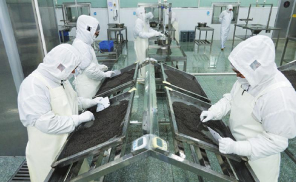 Employees sort caviar at the factory of Kaluga Queen in Quzhou, Zhejiang province. (Photo by Gao Erqiang/China Daily)