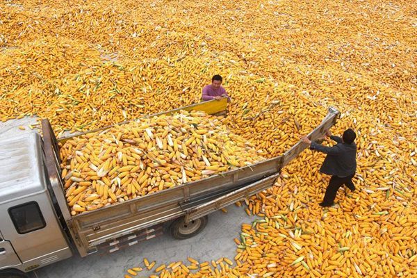 Promotion of bioethanol remains promising but challenging
